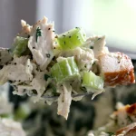 chicken salad close up texture